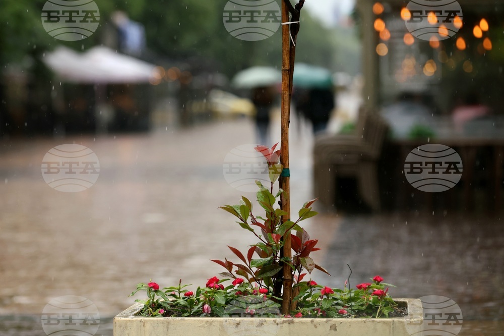 Столица - ежедневие - дъжд