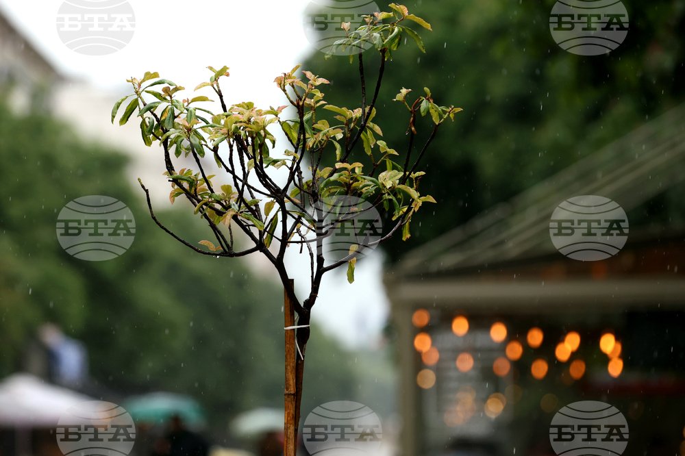 Прогноза за времето