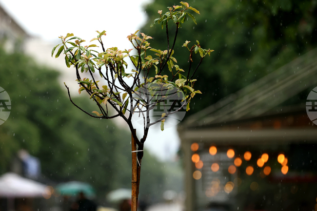 Прогноза за времето