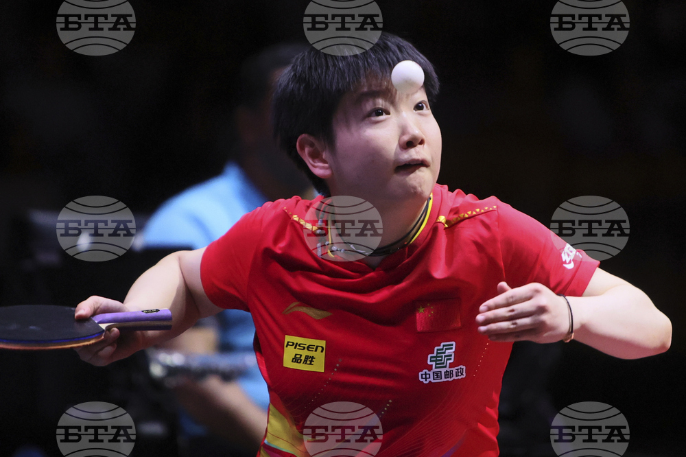 Qatar World Table Tennis