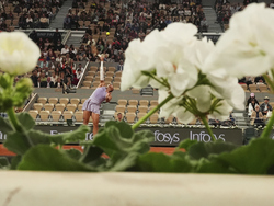 French Open Tennis