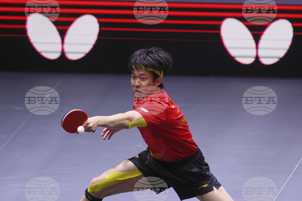 Qatar World Table Tennis
