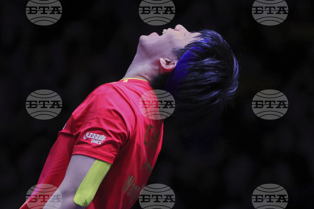 Qatar World Table Tennis
