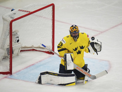 Sweden Hockey Worlds