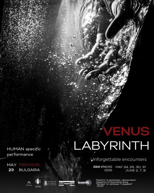 Един зрител се среща с един изпълнител в „Лабиринтът на Венера“