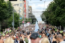 Сърбия - протест
