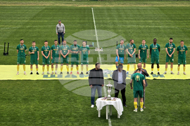 Добрич - Професионален футболен клуб „Добруджа” - купа