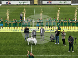 Добрич - Професионален футболен клуб „Добруджа” - купа