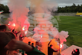 Добрич - Професионален футболен клуб „Добруджа” - купа