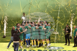 Добрич - Професионален футболен клуб „Добруджа” - купа