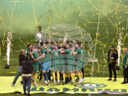 Добрич - Професионален футболен клуб „Добруджа” - купа