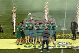 Добрич - Професионален футболен клуб „Добруджа” - купа