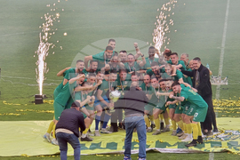 Добрич - Професионален футболен клуб „Добруджа” - купа