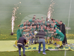 Добрич - Професионален футболен клуб „Добруджа” - купа