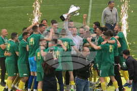 Добрич - Професионален футболен клуб „Добруджа” - купа