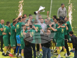 Добрич - Професионален футболен клуб „Добруджа” - купа