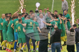 Добрич - Професионален футболен клуб „Добруджа” - купа