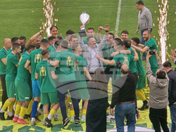 Добрич - Професионален футболен клуб „Добруджа” - купа