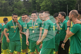 Добрич - Професионален футболен клуб „Добруджа” - купа