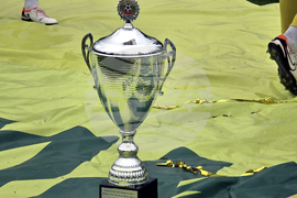 Добрич - Професионален футболен клуб „Добруджа” - купа