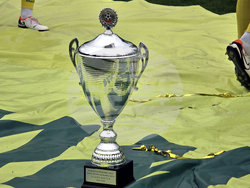 Добрич - Професионален футболен клуб „Добруджа” - купа