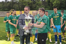 Добрич - Професионален футболен клуб „Добруджа” - купа