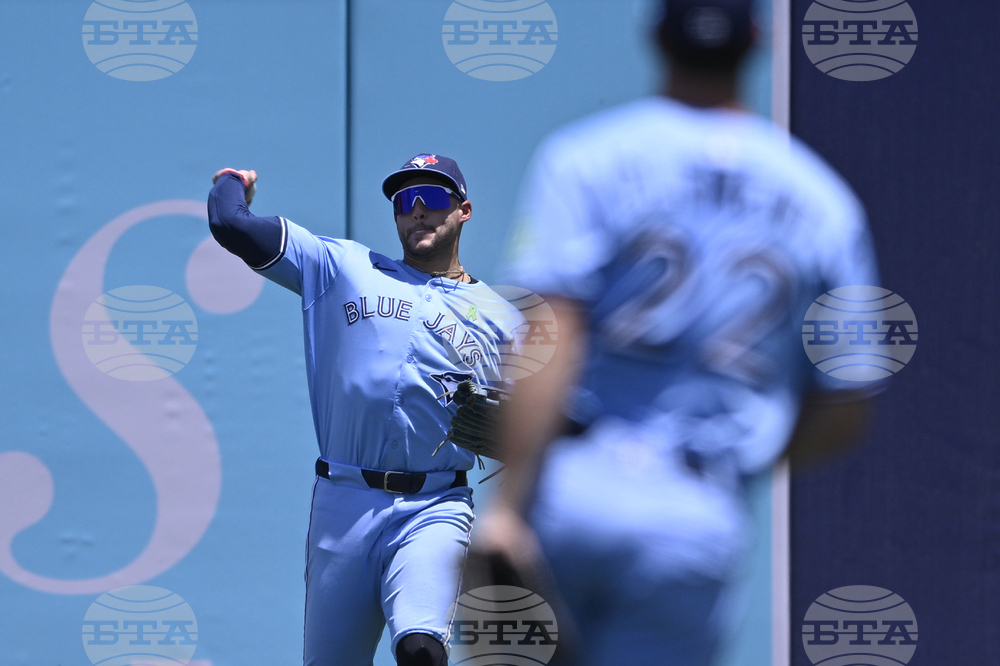 Blue Jays Rays Baseball
