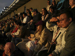 French Open Tennis