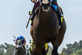 Santa Anita Horse Racing
