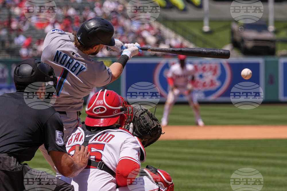 Marlins Angels Baseball