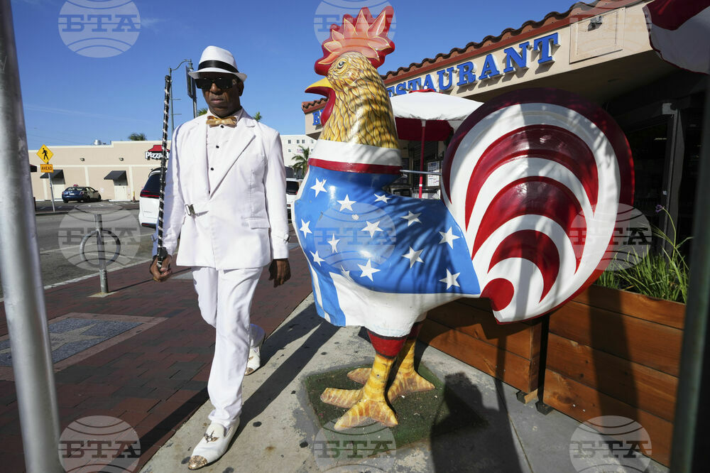 Miami Roosters
