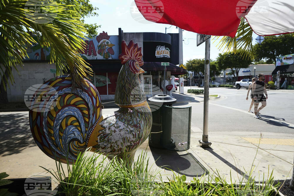 Miami Roosters