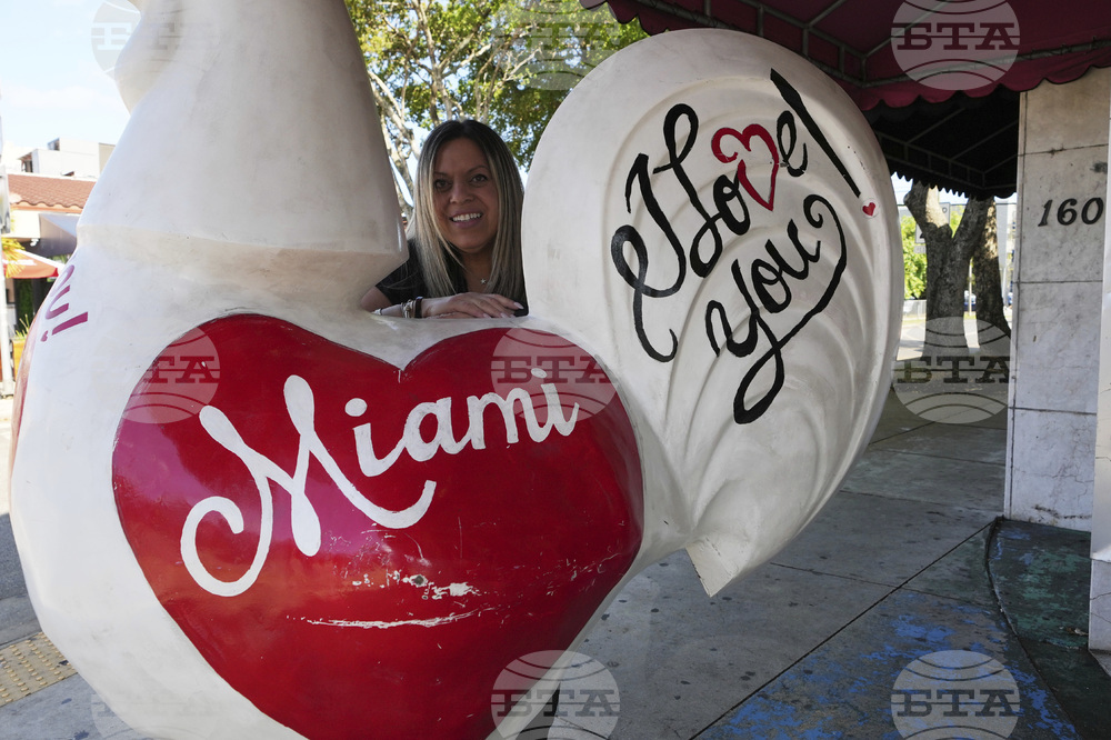 Miami Roosters