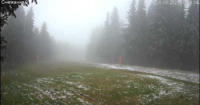 Сняг валя в района на Рожен и Пампорово