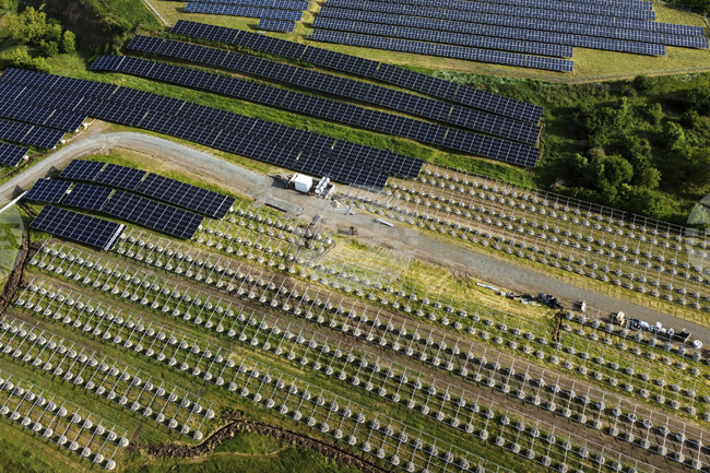 Възобновяемите източници на енергия в Германия се ползват със значителна подкрепа въпреки промяната в политиката на правителството, сочи проучване