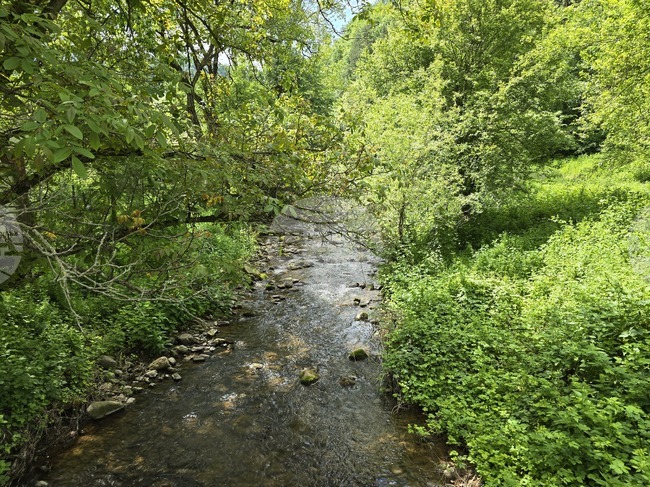 Прогноза за времето 