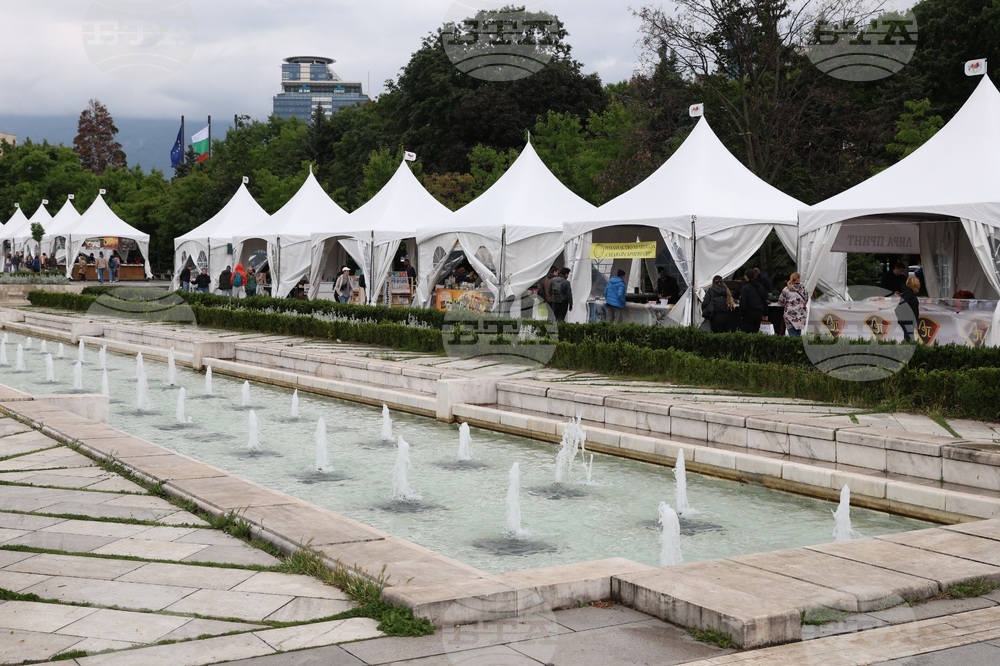 Издания за деца като „Що е то? Гатанки в стихове“ и „По-далече от нослето“ ще бъдат представени на Пролетния панаир на книгата днес