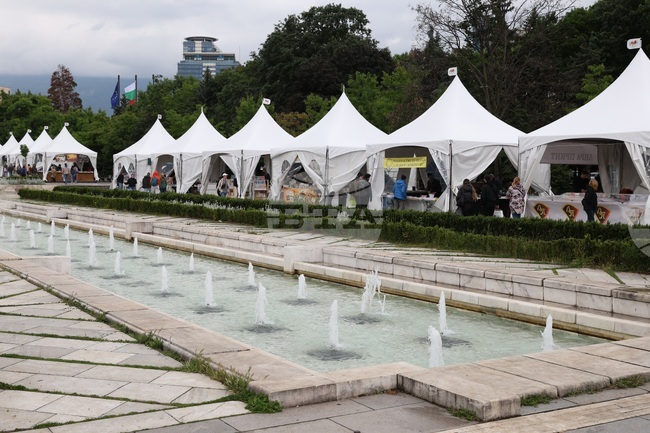 Издания за деца като „Що е то? Гатанки в стихове“ и „По-далече от нослето“ ще бъдат представени на Пролетния панаир на книгата днес