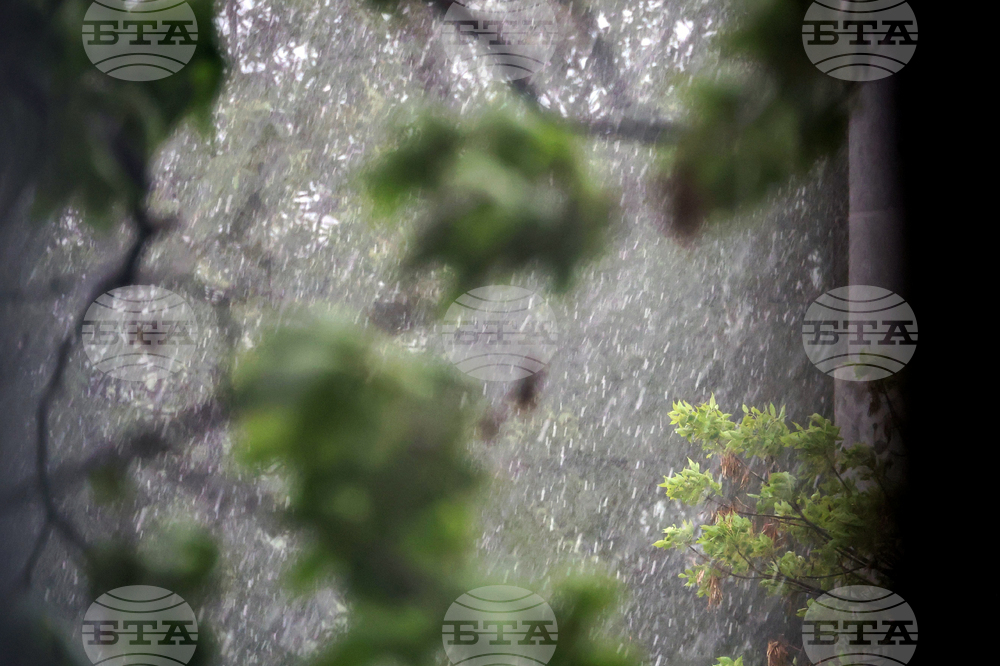 Red Code Alert for Heavy Rain in Three Districts, Orange in Eight