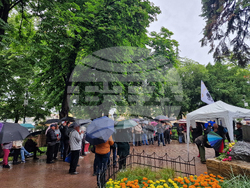 Свищов - протест против еврото