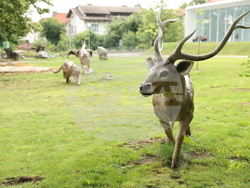 Вършец - Палеопарк