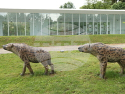 Вършец - Палеопарк