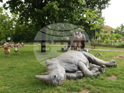 Вършец - Палеопарк