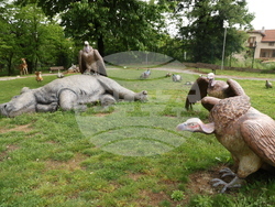 Вършец - Палеопарк