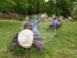 Вършец - Палеопарк