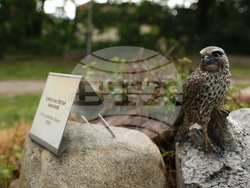 Вършец - Палеопарк