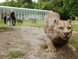 Вършец - Палеопарк