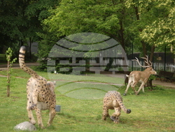 Вършец - Палеопарк