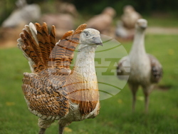 Вършец - Палеопарк