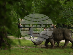 Вършец - Палеопарк